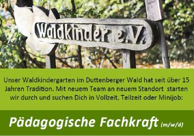 Ein Tag im Wald – Waldkindergarten Bad Friedrichshall